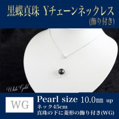 ふるさと納税 嘉麻市 WG(18K)黒蝶真珠Yチェーン(飾り付き)(45cm)