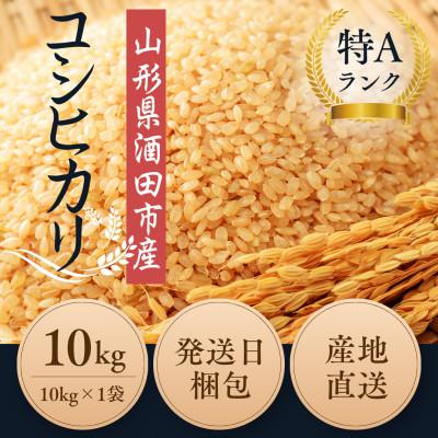 ふるさと納税 酒田市 栽培期間中農薬不使用 コシヒカリ 玄米 10kg 大粒LLサイズ以上厳選【令和7年産】 |  | 01