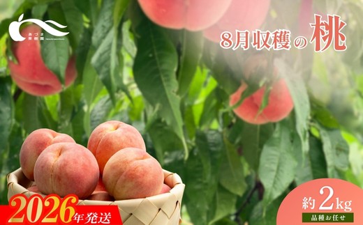 No.1758もも　8月収穫の桃　品種お任せ　約2kg【2026年発送　先行予約】