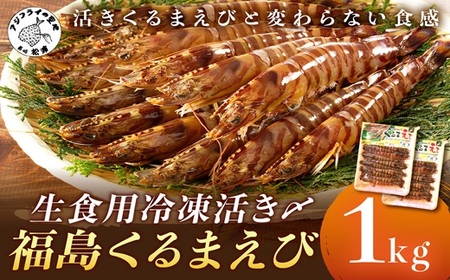 生食用冷凍活き〆福島くるまえび500g×2パック( 車エビ クルマエビ くるまえび えび エビ 海老 生食用 )【C5-029】