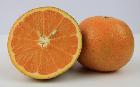 たんかん【2027年発送】大宜味村 たんかん 約5kg 沖縄