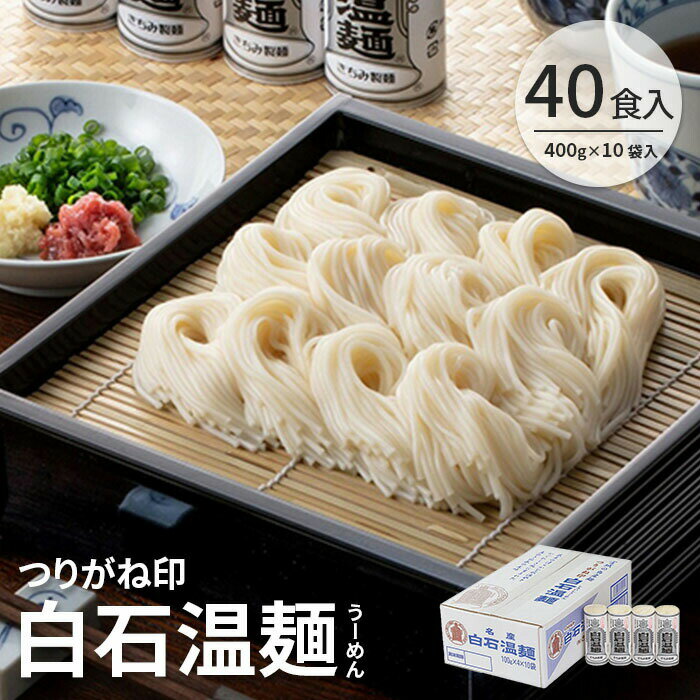 【ふるさと納税】そうめん 国産 温麺 うーめん 麺 つりがね 40食 400g 10袋 取り寄せ お歳暮 お中元 ギフト 白石温麺 うどん そば 健康 油不使用 ふるさと納税 宮城県 白石市【0515701】