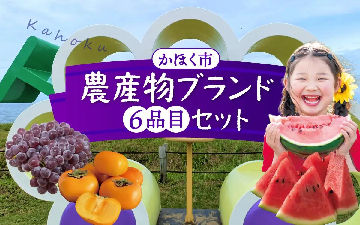 かほく市 農産物ブランド 6品目セット 