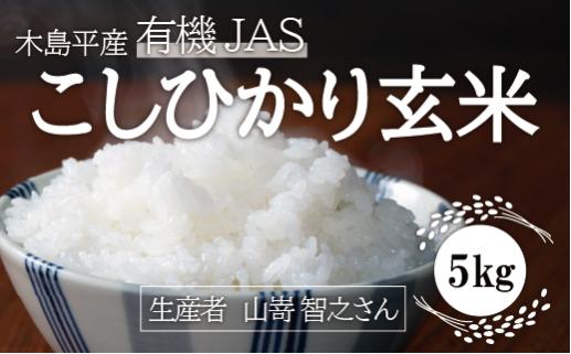 木島平産 有機JAS コシヒカリ 玄米 約5kg | 米 玄米 コシヒカリ こしひかり お米 おこめ 有機JAS 長野県 木島平村 信州