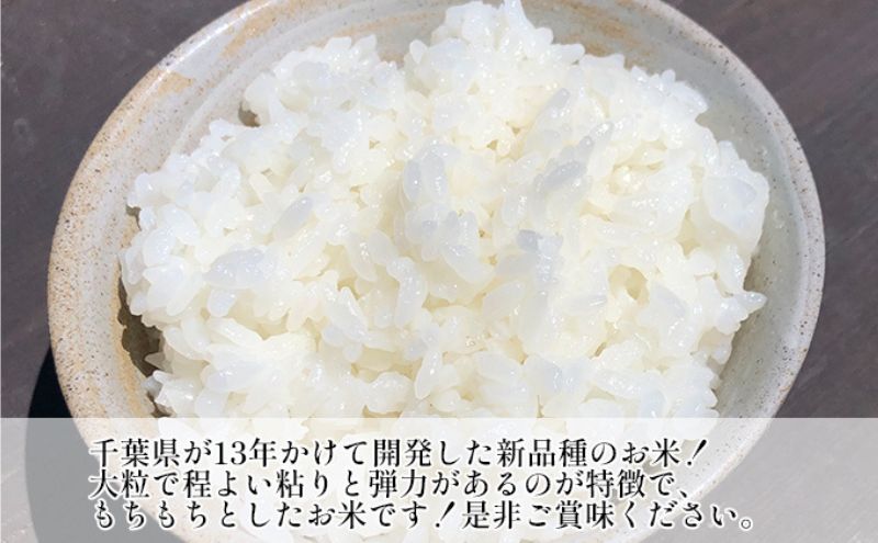 新米　令和7年 粒すけ 5kg 千葉産 乾式 無洗米　【 お米 こめ コメ おこめ 】