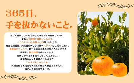 【ご家庭用】濃厚な味わい ゆら早生みかん 約7kg サイズ混合【10月上旬より発送】希少品種《有機質肥料100％》【2025年10月上旬より順次発送予定】【CE-nuk002D】