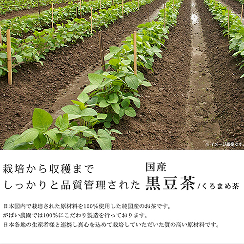 国産 黒豆茶（3個セット）：B180-006_イメージ5