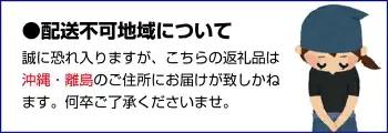 【梅干・梅酒用】（3Lまたは2L－2Kg）熟南高梅＜2027年6月上旬～7月7日発送予定＞【ART06】/ 梅 梅干し ウメ 青梅 生梅 梅シロップ フルーツ 果物 くだもの 食品 人気 おすすめ 送