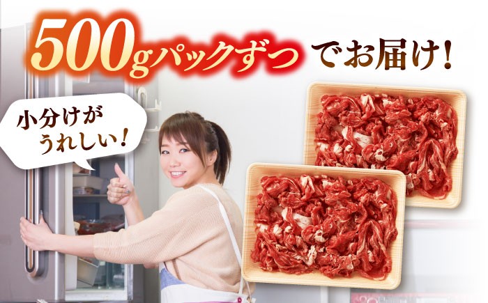 3回定期便 和牛 切り落とし 1kg (500g×2P) 国産