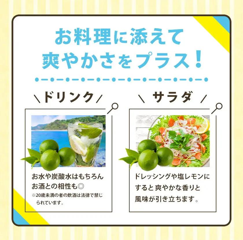 訳あり グリーンレモン 山本農園 2kg