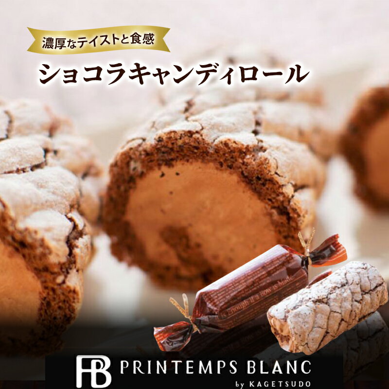 【ふるさと納税】ケーキ ショコラキャンディロール 花月堂 スイーツ お菓子 菓子 高級 ロールケーキ チョコレートケーキ チョコレート チョコ 洋菓子 生菓子 おやつ デザート ご当地スイーツ 贈答 ギフト プレゼント お土産 冷凍 冷凍配送 岩手 岩手県 盛岡 盛岡市