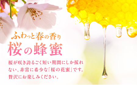 早春みつ 2本（500g×2） / はちみつ[AFAI046]