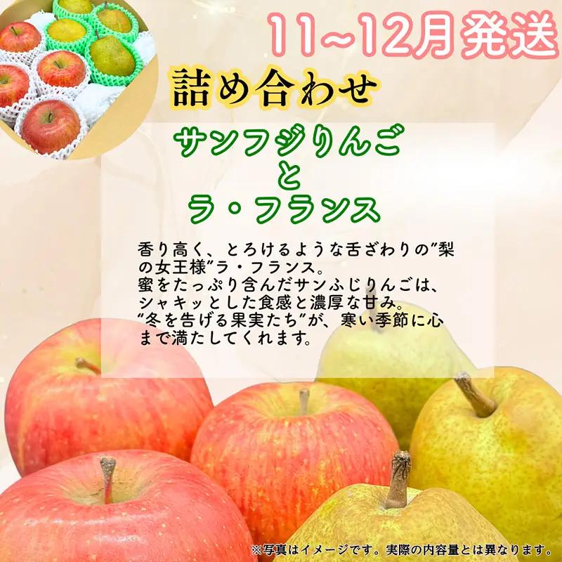 【定期便3回】山形果匠【旬のよりどり定期便】A 全3回 1回で2種味わえる楽しみ【令和8年産先行予約】FS25-089
