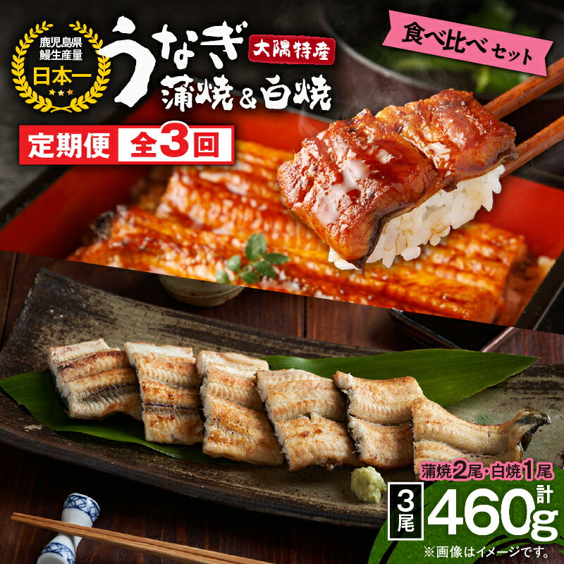 【ふるさと納税】【定期便3回】大隅特産うなぎ蒲焼 2尾（340g）・白焼1尾（120g）食べ比べセット たれ付 真空パック 湯煎 レンジ 簡単調理 国産 国産うなぎ 定期 うなぎ蒲焼 白焼 うなぎ白焼 小分け 定期便 食べ比べ 鹿児島県 鹿屋市【寺園商店】