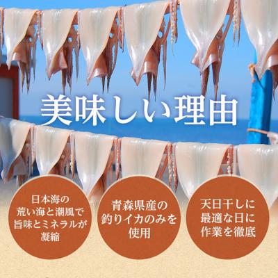 ふるさと納税 鰺ヶ沢町 炭火焼きイカ 8パック セット [53841272] |  | 03