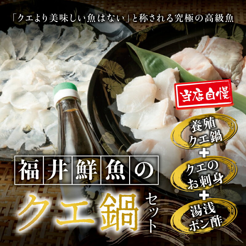 【ふるさと納税】【先行予約】 【幻のクエ！国産】【年内配送26日ご入金完了分まで！】くえ刺身＆鍋 湯浅ゆずポン酢セット 和歌山県 和歌山 和歌山県串本町 串本町 お取り寄せ 取り寄せ グルメ 食品 海鮮 魚 魚貝類 さしみ お刺身 刺身 鍋 お鍋 くえ クエ 正月 お正月