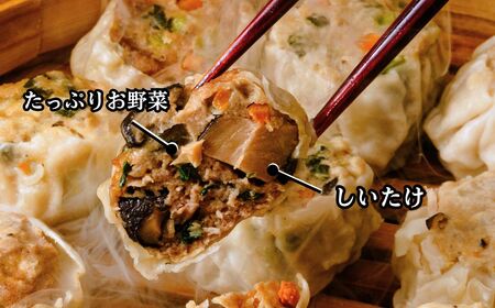 焼売 てんの焼売と野菜焼売の16個セット 焼売 埼玉県 上尾市