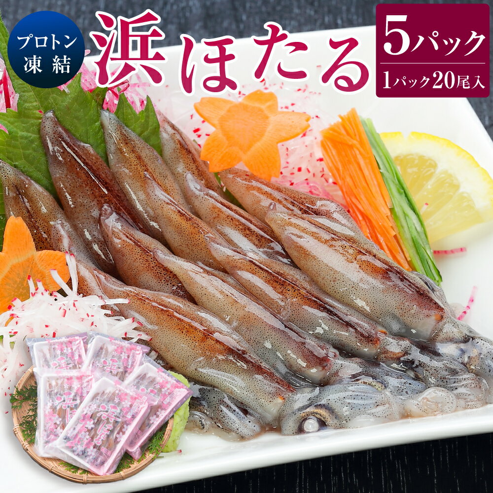 【ふるさと納税】プロトン凍結浜ほたる5P入 プロトン凍結 ほたるいか ホタルイカ いか イカ 生ほたるいか お刺身 刺し身 釜揚げ しゃぶしゃぶ 20尾入り 5パック 100尾 海鮮 魚介 新鮮 お取り寄せ 冷凍 兵庫県 新温泉町 送料無料