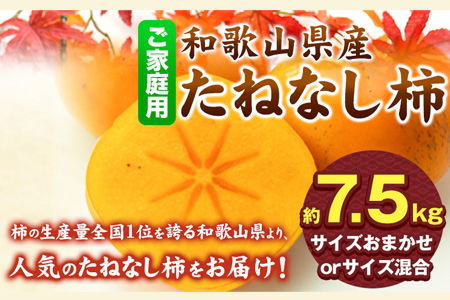 先行予約【秋の味覚】和歌山 産 の たねなし 柿 ご家庭用 約 7.5kg  厳選館《2026年9月上旬-11月上旬頃より出荷》和歌山県 日高川町 柿 カキ かき ジューシー フルーツ たねなし---wshg_tmt252_9j11j_25_15000_75---