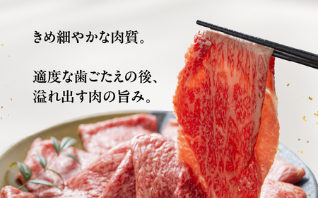 【ふるなび限定】 [A5等級] 飛騨牛モモ すき焼き しゃぶしゃぶ用 600g [mt620] すき焼き トキノ屋食品 FN-Limited-PR