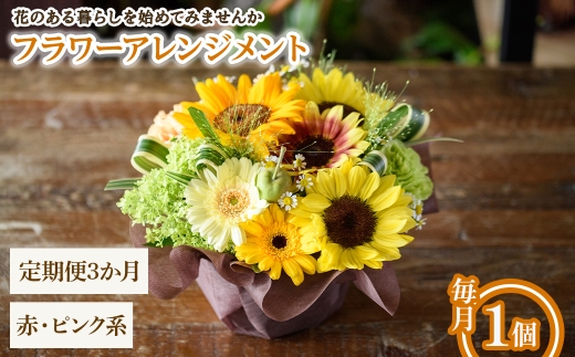 フラワーアレンジメント(赤ピンク系・3ヶ月・毎月1個) 【m56-06-A3】【Porte-Bonheur】