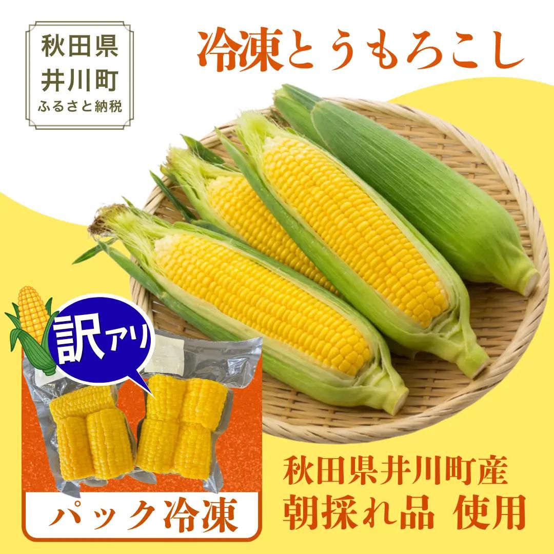 とうもろこし 5kg 冷凍トウモロコシ 秋田県産 パック 訳あり