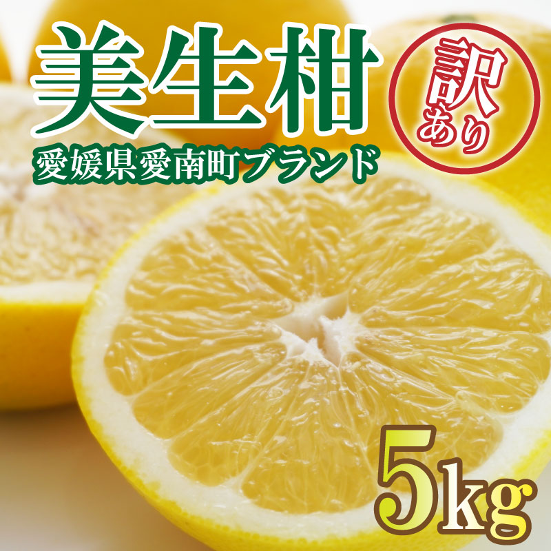 先行予約 訳あり 美生柑 みしょうかん 約5kg 河内晩柑 不揃い 大小ミックス 傷あり ばんかん フルーツ 果物 くだもの 文旦 晩生柑 厳選 愛媛 みかん 蜜柑 愛南 ご当地 ブランド 