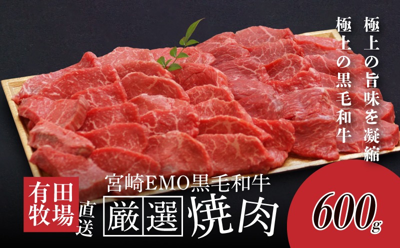 ＜木城白木八重牧場育ちの黒毛和牛厳選焼肉 600ｇ＞ K20_0012_3
