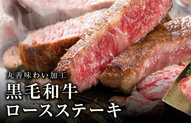 丸善食品 定期便 全6回 10万円コース 丸善味わい加工【毎月配送コース】 099Z238_イメージ3