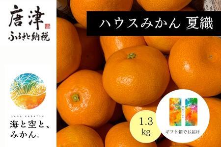 『先行予約』【令和8年6月より順次発送】夏の極上ハウスみかん「夏織」1.3kg  贈答箱・ギフトボックス入り ～海と空と、みかん～ 甘くてとろける夏の果物に ミカン フルーツ 柑橘