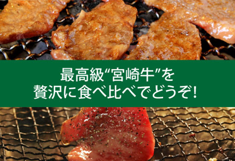 定期便 宮崎牛 焼肉 食べ比べ 3ヶ月 コース |牛肉 牛 肉 ウデ 焼肉 バラ クラシタ モモ 三角バラ ヒレサイコロ 焼き肉 やき肉