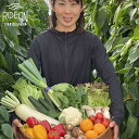 【ふるさと納税】054-8 生産者の顔が見える！新鮮野菜厳選12品目以上 2kg お米 野菜セット / 米 野菜 丸新柴本製茶