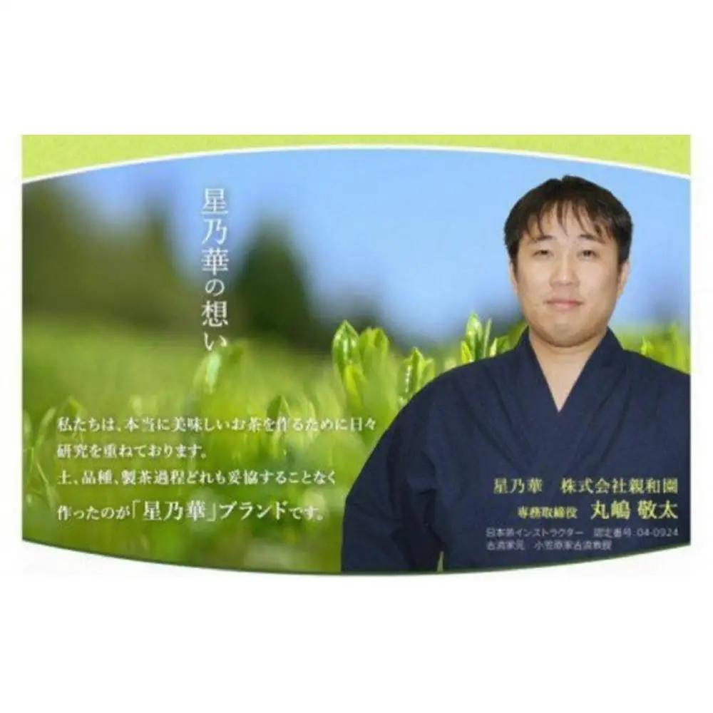 八女星野産 玉露ティーバッグ2.5g×100個【八女茶】