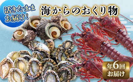 【アワビについて注意事項あり】海鮮セット 定期便 年6回 水産 伊勢海老 海藻 おかず