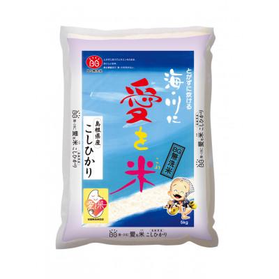 ふるさと納税 安来市 BG無洗米コシヒカリ　10kg
