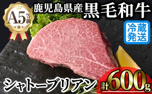 ＜新鮮チルド希少部位＞鹿児島県産A5黒毛和牛“極厚”シャトーブリアン(計600g・300g×2枚)冷蔵 チルド シャトーブリアン 希少部位 ヒレ【KNOT】 D55