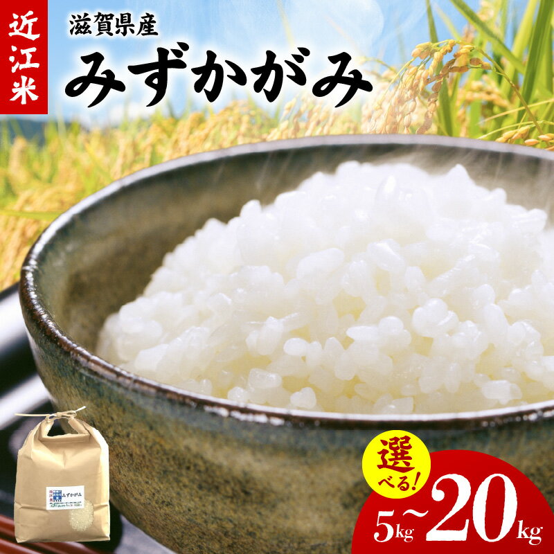 【ふるさと納税】令和7年産 近江米 みずかがみ 選べる 容量 5kg 10kg 20kg 炊きあがり キラキラ つややか 程よい 粘り まろやかな 甘み 冷めてもおいしい お米 米 白米 おにぎり おむすび お弁当 主食 食品 食べ物 常温 お取り寄せ 滋賀県 守山市 送料無料