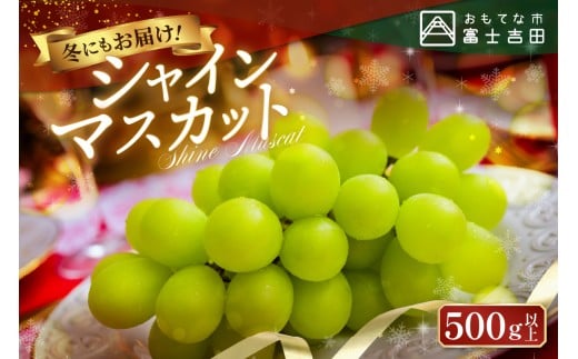 【新年に届く】ジューシーで甘さ抜群　厳選シャインマスカット500g 【2026年1月発送】