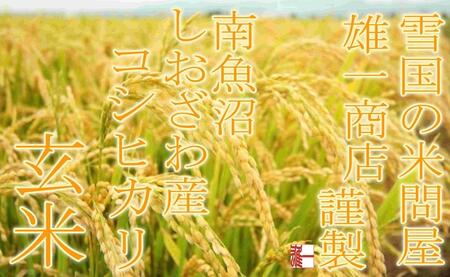 【令和7年産】●玄米● 【定期便10Kg×12ヶ月】 生産者限定 南魚沼しおざわ産コシヒカリ【2025年10月上旬より順次発送予定】