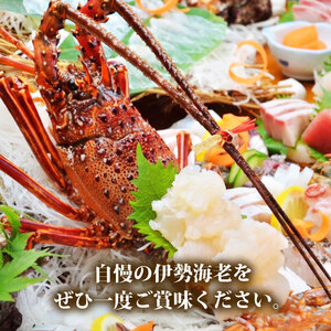 訳あり 冷凍 伊勢海老 約500g 2～3尾 活〆 伊勢えび 伊勢エビ イセエビ 海老 えび エビ ebi いせえび 魚介 海鮮 海産物 海 特産品 うま味 旨味 海の幸 アウトドア BBQ 刺身 炭