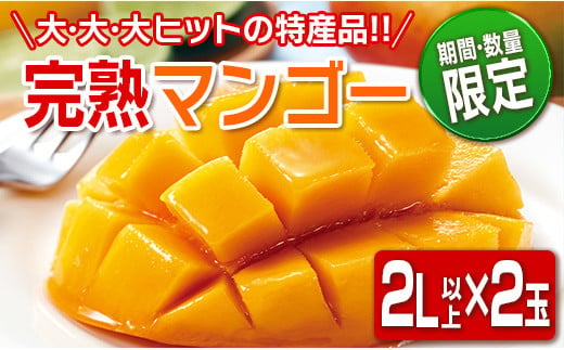 ≪期間・数量限定≫日南産完熟マンゴー(2L×2玉)フルーツ 果物