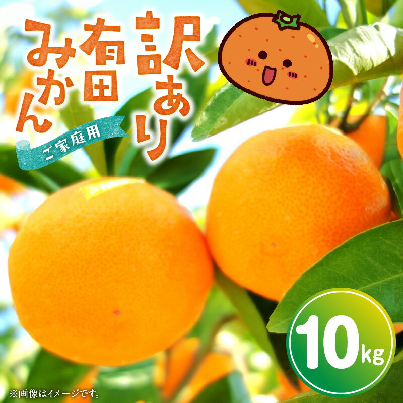 【ふるさと納税】【限定】 有田みかん 【訳あり 家庭用】 10kg【ミカン 蜜柑 柑橘 温州みかん 和歌山 有田】