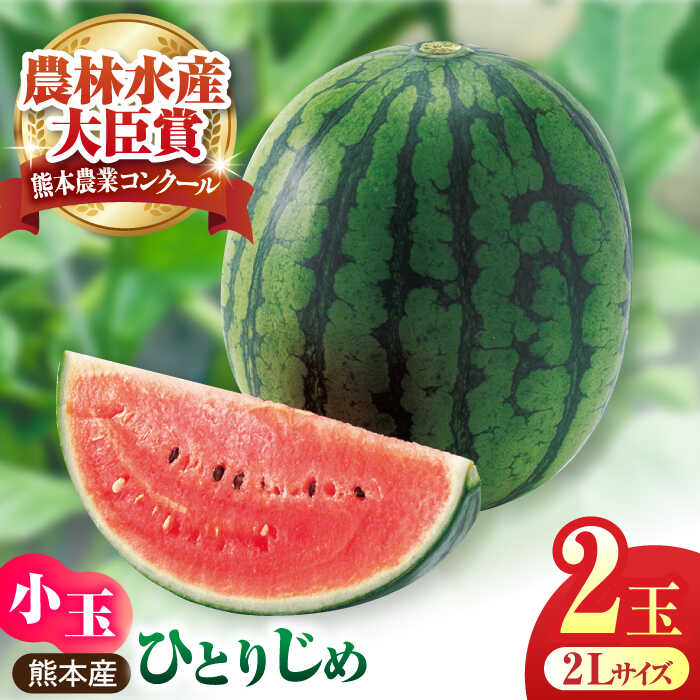 【ふるさと納税】【先行予約】小玉スイカ ひとりじめ 2玉 2Lサイズ 【株式会社 前田ファーム】[ZCM011] 旬 果物 くだもの フルーツ すいか 西瓜 ブランド 人気 季節物 新鮮 産地直送 甘い 糖度 おすすめ フレッシュ 特産 期間限定 評判 種類 サイズ 熊本県 山鹿