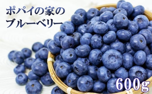【数量限定】採れたてブルーベリー 約600g ＜ポパイの家＞ ／ 新鮮 産地直送 旬 フルーツ 果物