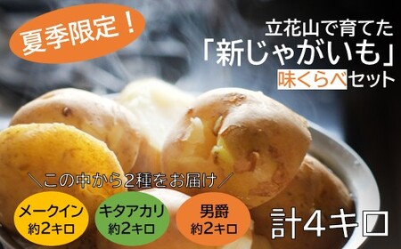 A1558.【夏季限定】立花山で育てた「新じゃがいも」2種味くらべセット（約4kg）／約2kg×2品種