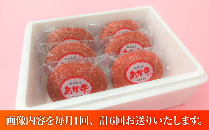 【全6回定期便】【限定数量】熊本和牛あか牛ハンバーグセット　120g×6個 / 菊陽町 あかうし 熊本県 肉 にく niku ブランド 旨み【有限会社　三協畜産】 [BHAS034]