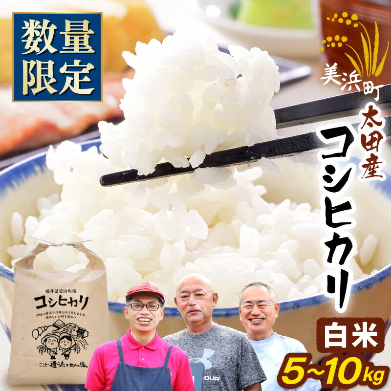 【ふるさと納税】【先行予約】令和7年産・新米 美浜町太田産「コシヒカリ」 白米 選べる 5kg / 10kg 【選べる内容量】【2025年10月上旬以降順次発送予定】【 精米 福井県 美浜町産 特A 白米 こめ コメ お米 おこめ こしひかり 10キロ 定期 高評価 おすすめ】