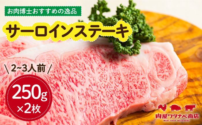 
                  長崎和牛 サーロインステーキ 250g×2枚 長与町/ワタナベ商店 [ECT009] 国産 長崎和牛 和牛 サーロインステーキ サーロイン ステーキ さーろいん 2枚 牛肉 冷凍 ソース付き ギフト お祝い
                