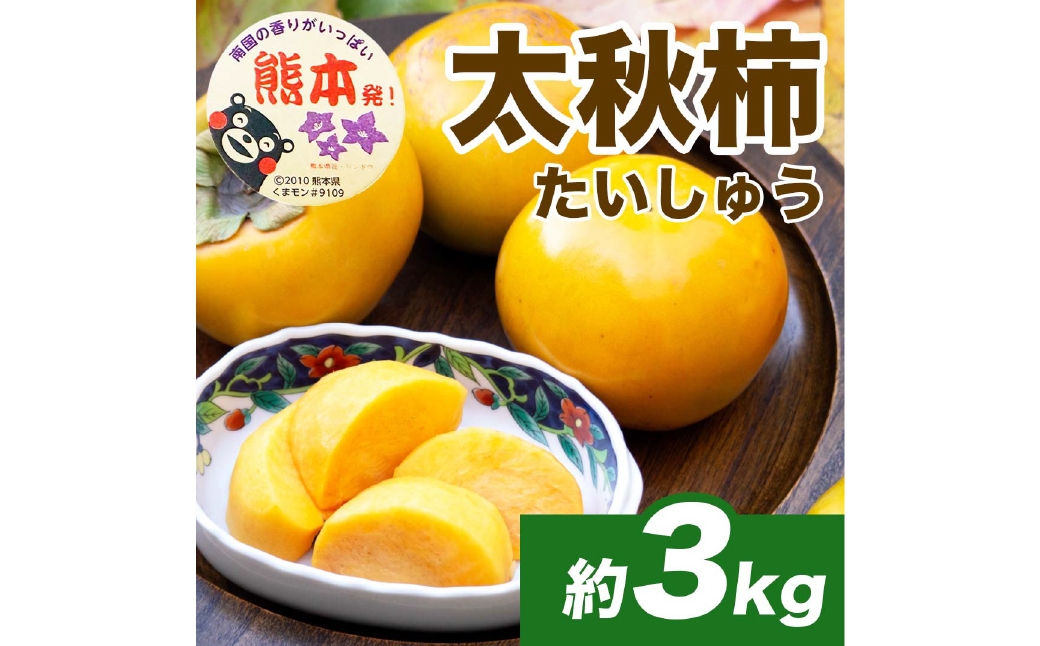 
                  太秋柿 約3kg （ 8 ～ 15玉 ） 柿 カキ 果物 かき くだもの 果実 フルーツ 果肉 果汁 国産 熊本県産 【 2026年10月上旬から11月上旬発送予定 】
                