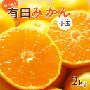 【ふるさと納税】【2024年 先行予約】和歌山県産 有田みかん 小玉 2kg 訳あり【ミカン 蜜柑 柑橘 温州みかん 和歌山 有田 】